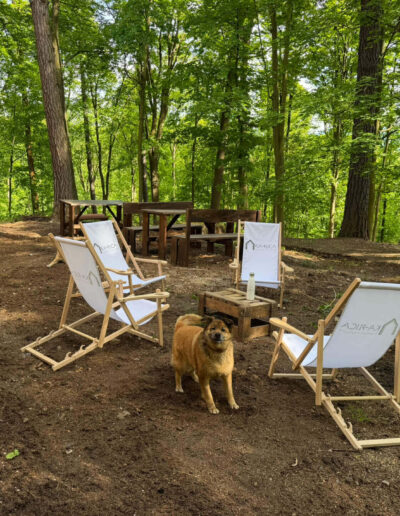 Kaplica na Górze Parkowej w Kudowie-Zdroju